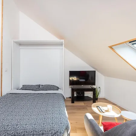 L'hortillon D'or - Wifi Hd - Confort - Bord Des Hortillonnages Apartment